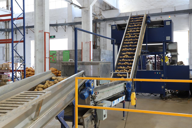 澳门新京葡在线