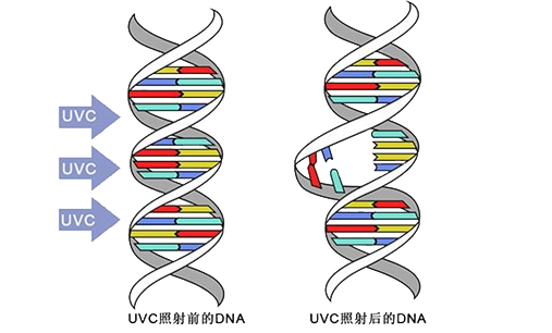 澳门新京葡在线