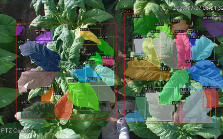 澳门新京葡在线