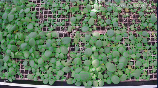 澳门新京葡在线